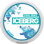 ❄️ COOL MINT ❄️ (сладкий)